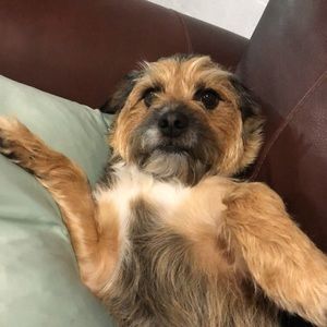 Meet your Posher, Stephen